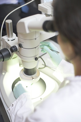 Wissenschaftler untersucht durch ein Mikroskop Wissenschaftler untersucht durch ein Mikroskop